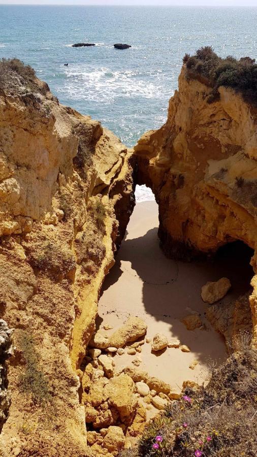 Ocean View Appartement Albufeira